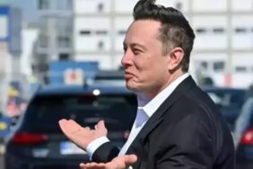 Almanya'dan Musk'a 'AfD' eleştirisi