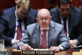 Vasiliy-Nebenzya22005234234