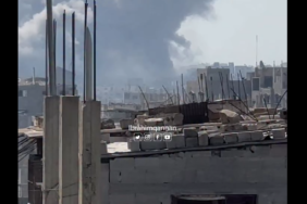 bombalama3423423.jpg