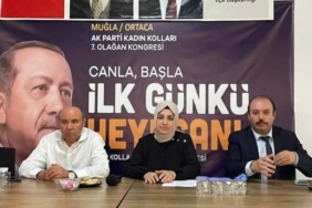 akpartimula324234324