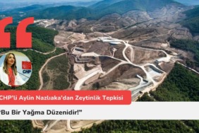 aylinnazliakazeytinlik