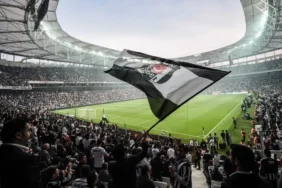 bjk23423423423