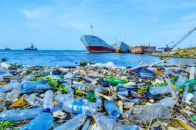 bmplastik23423432