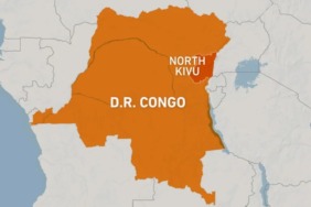 doro234234234