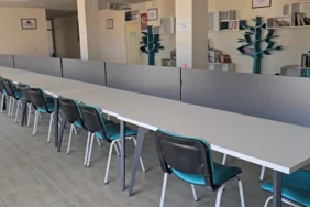 baskankus242342