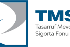 tmsf3234234234