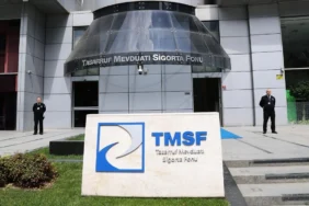tmsf9934932