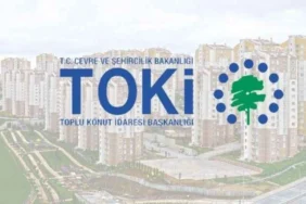 toki24234234
