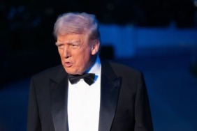 trump23424324
