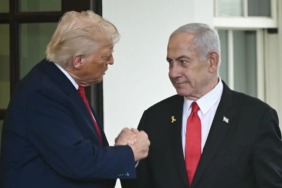 turmp2342342