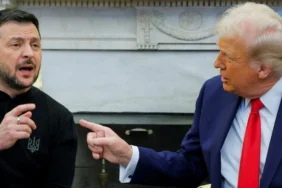 zelenstrump2423423