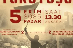 sumud3423423