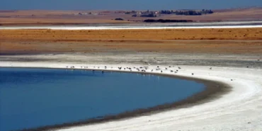 tuzgolu234234