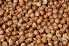 cocuklariniza-findik-yedirin