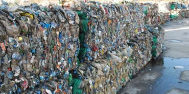 thumbs-b-c-d868e960b55872ebe0dcba0d9d1c75cd