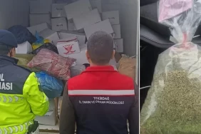 tekirdagda-2-ton-sagliksiz-fistik-imha-edildi-759d2c55-7a95-4dec-92de-5d8011abd400