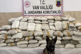 jandarmadan-dev-operasyon-446-kilo-uyusturucu-ele-gecirildi-icUQiake
