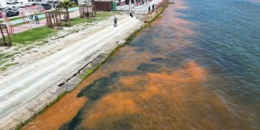 tekirdagda-denizin-rengi-degisti-alg-patlamasi-goruldu-1NJRgCbG