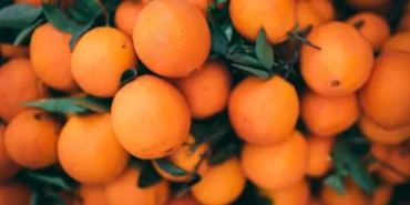 turuncgil-ihracati-6977-milyon-dolara-ulasti-f9X2EipO