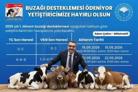 ak-parti-kars-milletvekili-adem-calkindan-mujde-buzagi-destek-odemeleri-bugun-hesaplara-yatiyor-YbVUTfVx