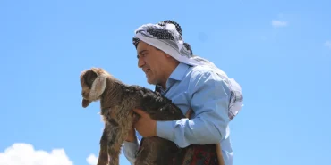 anne-kecinin-cigligini-duydu-taslarin-arasindaki-oglaki-kurtardi-lVDGLiFs
