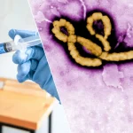 dsoden-ebola-uyarisi-asi-icin-9-ay-gerekebilir-0355W3XL