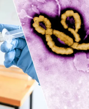 dsoden-ebola-uyarisi-asi-icin-9-ay-gerekebilir-0355W3XL