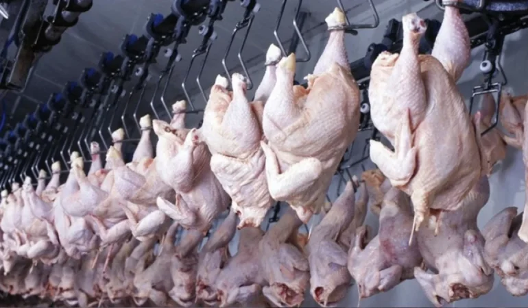 tavuk-eti-ve-yumurta-uretiminde-mart-ayinda-yukselis-xXQYXaLW