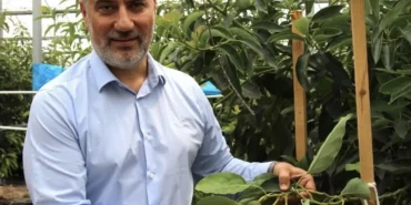 antalyada-tropikal-meyve-uretimi-yayginlasiyor-106a296ed24984d