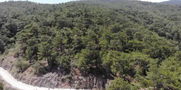 balikesir-ve-kutahyada-ormanlara-girisler-yasaklandi-GyfLYQiu
