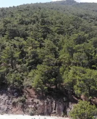 balikesir-ve-kutahyada-ormanlara-girisler-yasaklandi-GyfLYQiu