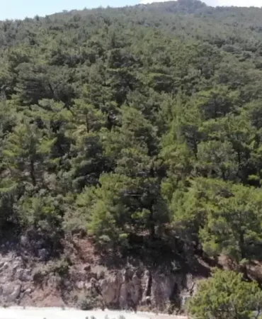 kahramanmarasta-ormanlara-girislere-yangin-tedbiri-106a230aa486d